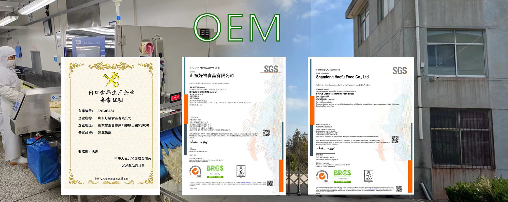 Shandong Haofu Food Co.,Ltd